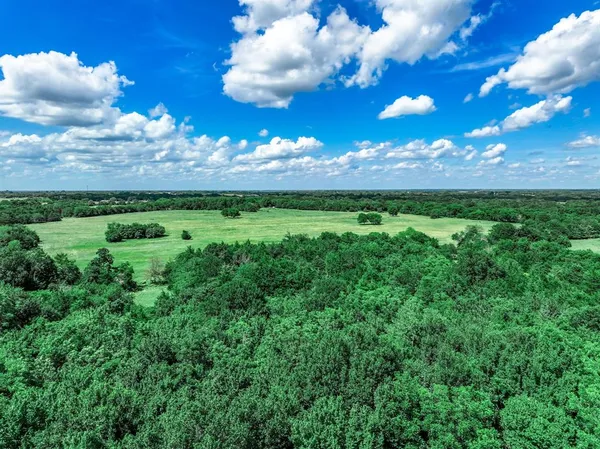a view of a yard with an tree