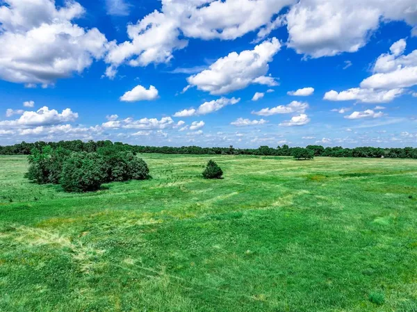 a view of a big yard with lots of green space