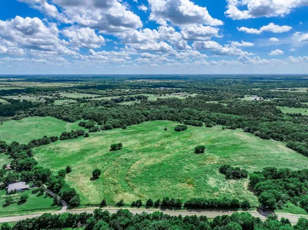 a view of a green field with lots of plants and trees