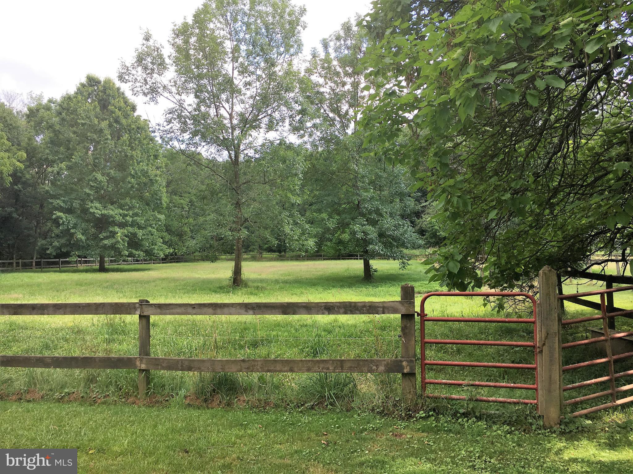 2413 Trewigtown Road Hatfield, PA 19440 - Photo 23 of 46 Back fields - part of 6.3 acres - Summer scene.