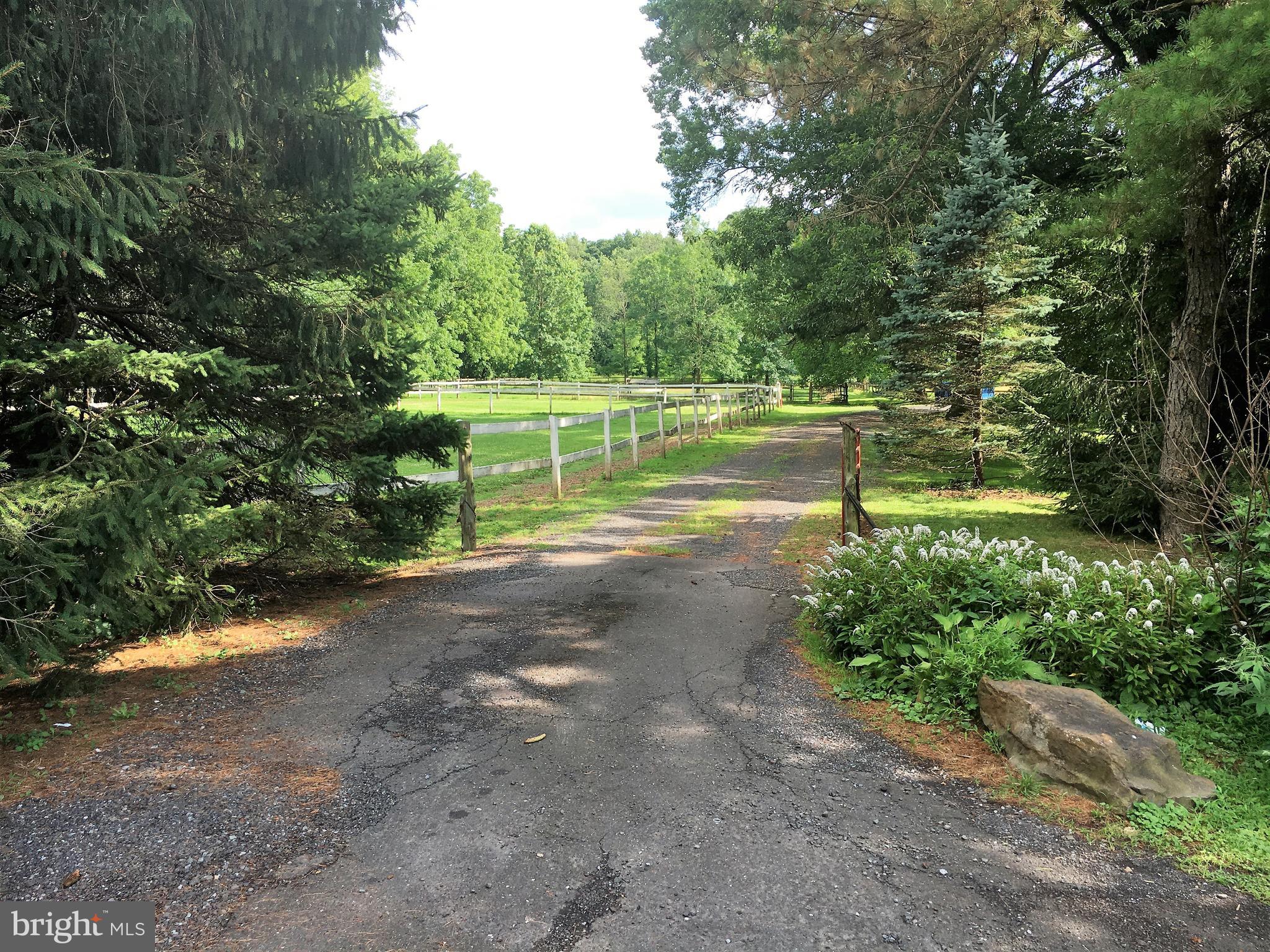 2413 Trewigtown Road Hatfield, PA 19440 - Photo 5 of 46 One of 3 driveways.