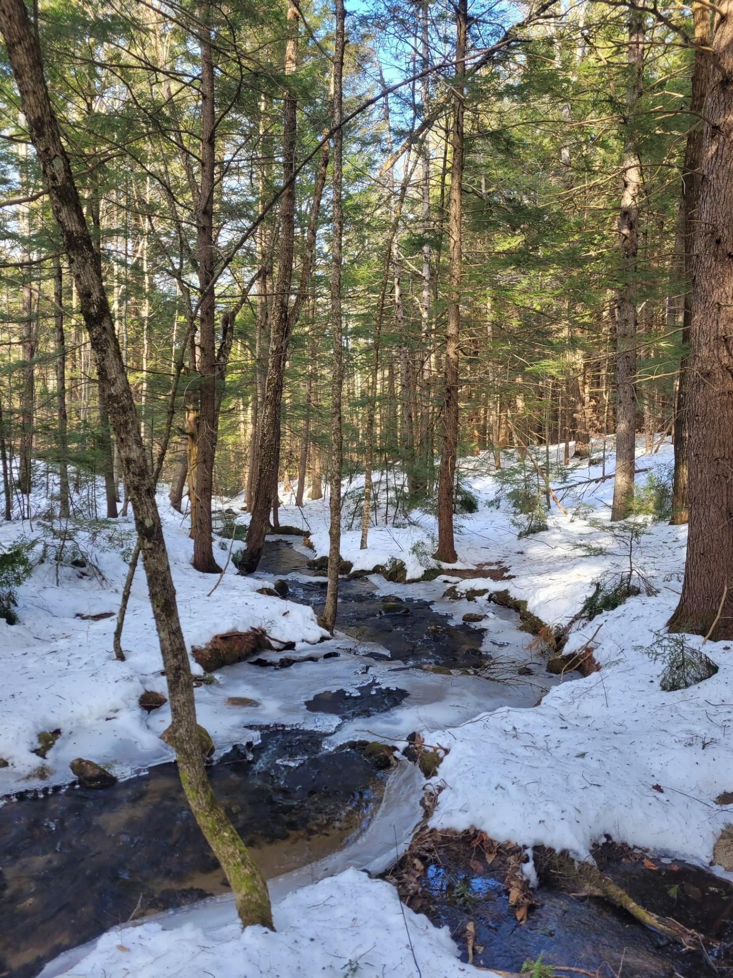 86 Currier Road, Unit LOT 27 Hill, NH 03243 - Photo 13 of 17