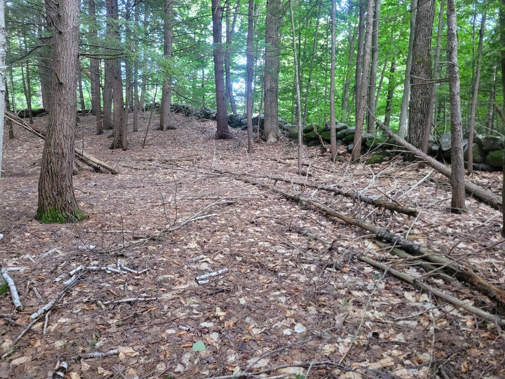 86 Currier Road, Unit LOT 27 Hill, NH 03243 - Photo 15 of 17