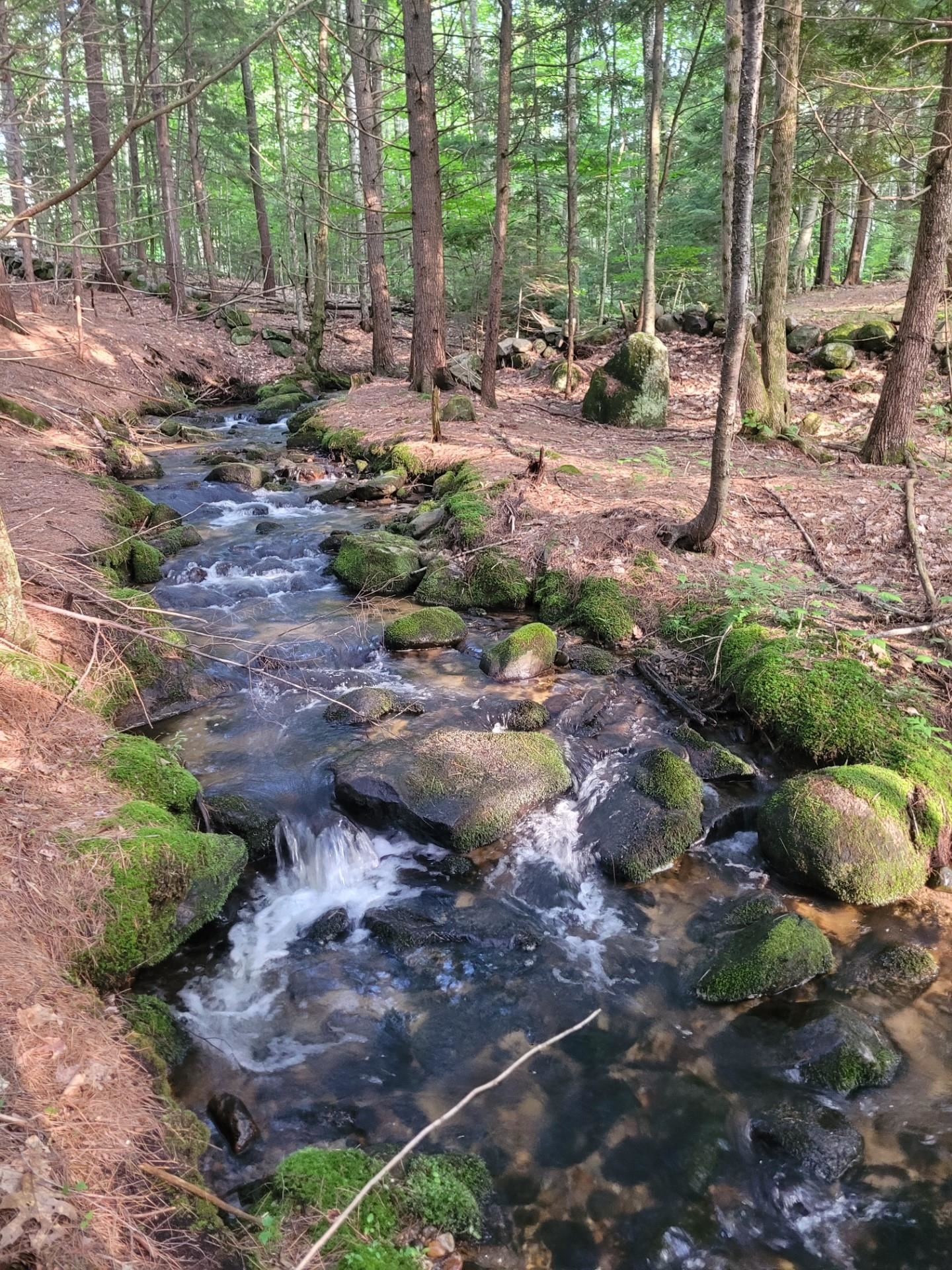 86 Currier Road, Unit LOT 27 Hill, NH 03243 - Photo 16 of 17