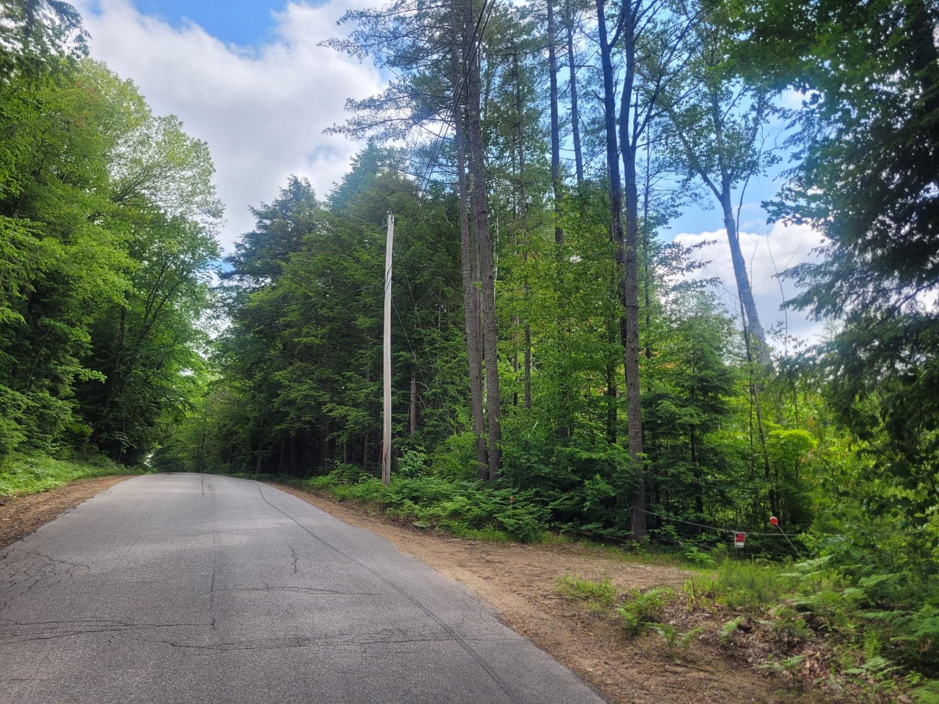 86 Currier Road, Unit LOT 27 Hill, NH 03243 - Photo 2 of 17