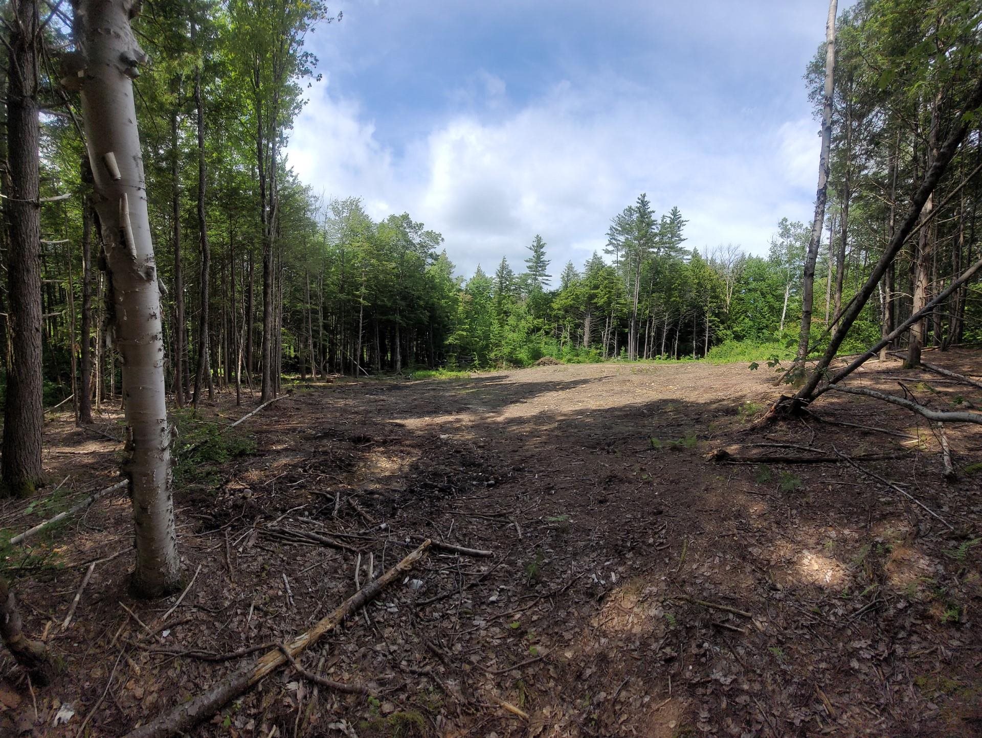 86 Currier Road, Unit LOT 27 Hill, NH 03243 - Photo 3 of 17