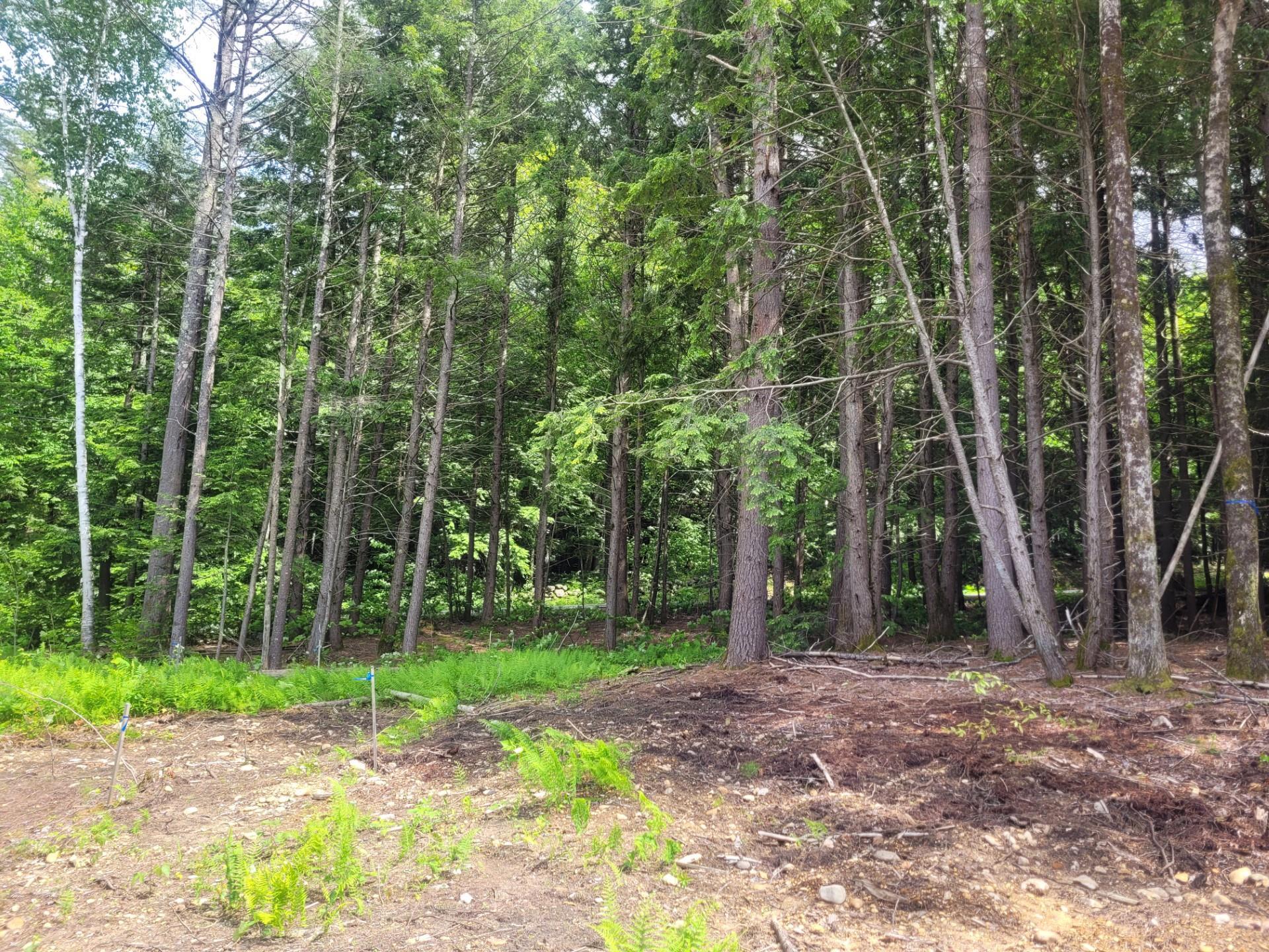 86 Currier Road, Unit LOT 27 Hill, NH 03243 - Photo 4 of 17