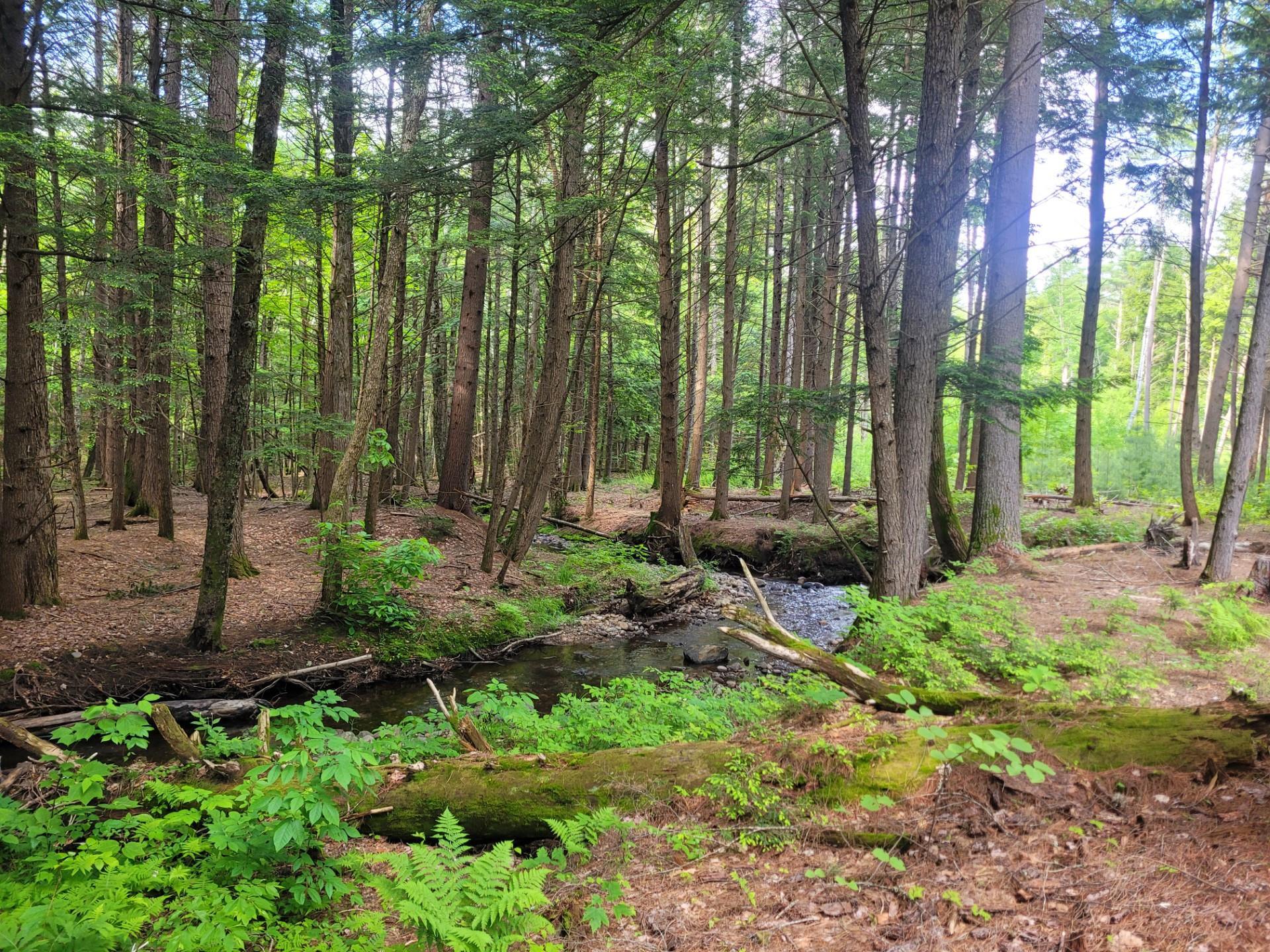 86 Currier Road, Unit LOT 27 Hill, NH 03243 - Photo 8 of 17