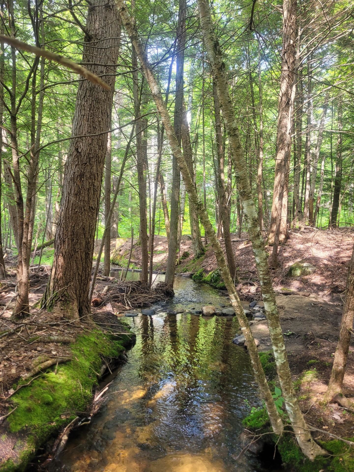 86 Currier Road, Unit LOT 27 Hill, NH 03243 - Photo 10 of 17