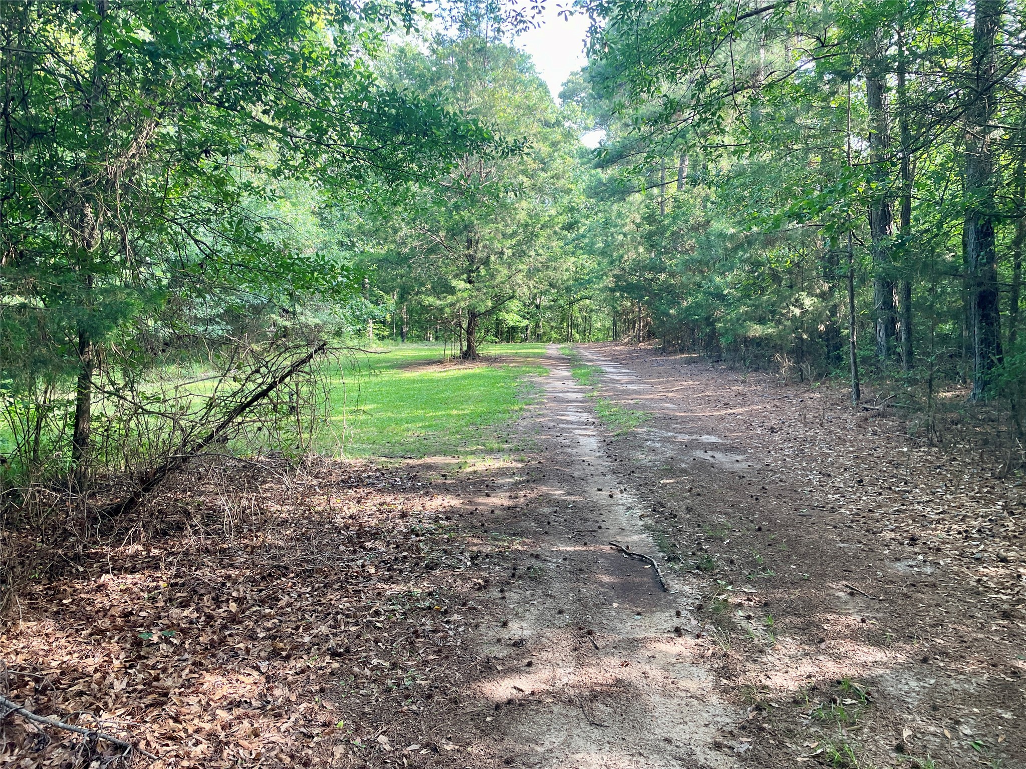 2983 Mallorysville Road Tignall, GA 30668 - Photo 2 of 47