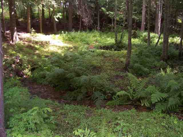 1125 Middle Basin Road Colville, WA 99114 - Photo 7 of 9