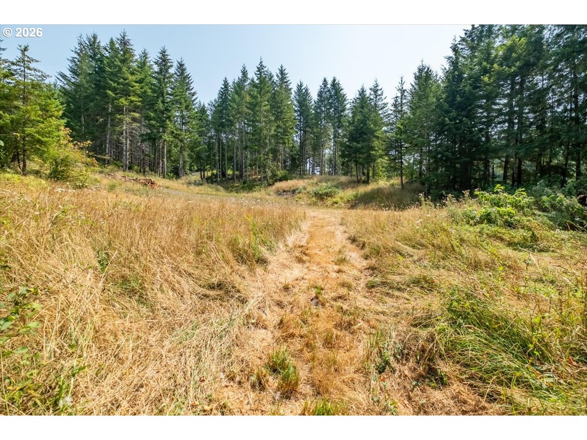 41662 Grover Road Blodgett, OR 97326 - Photo 3 of 20 Gallery Image 3