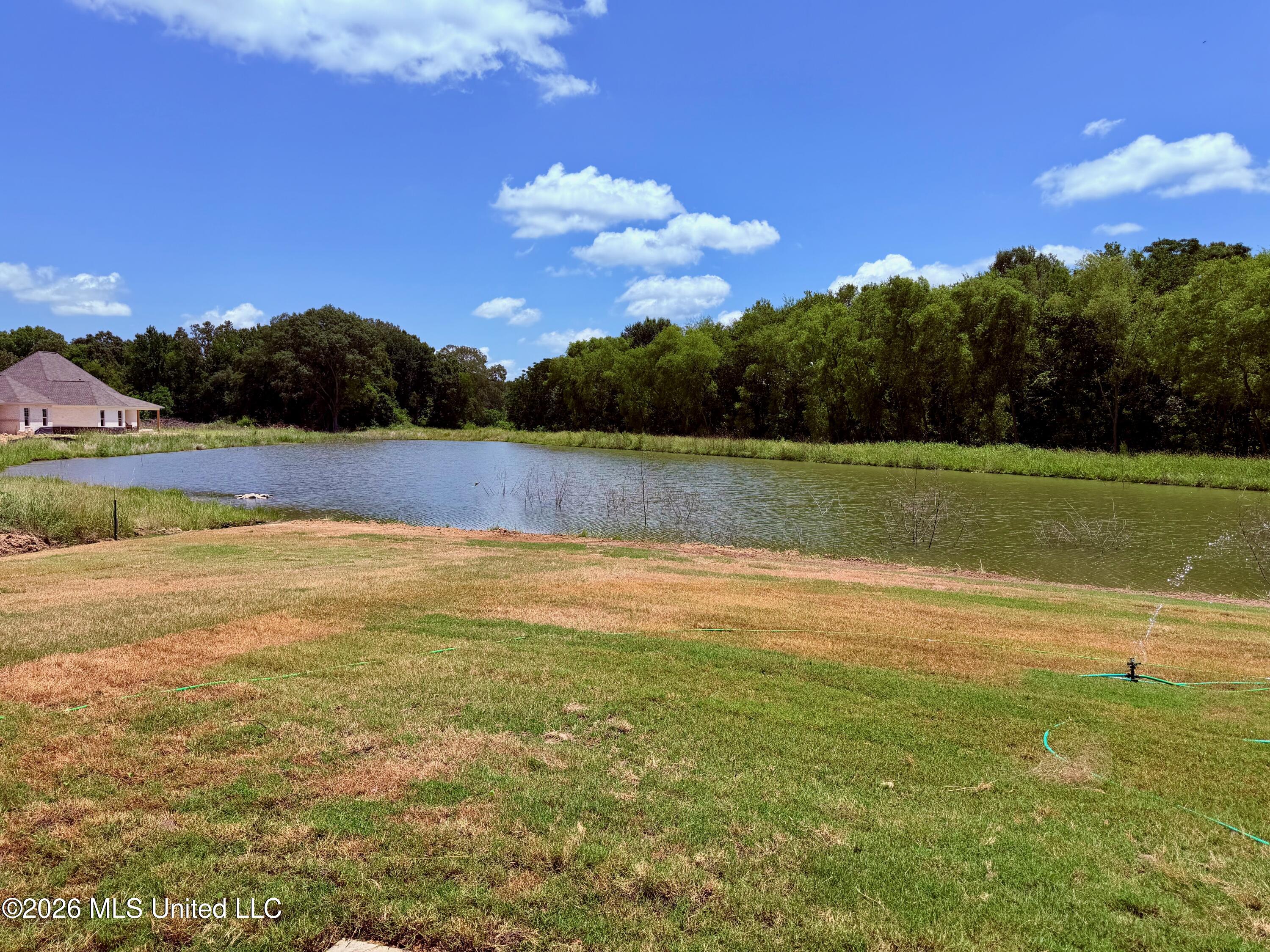 506 Friars Cove Madison, MS 39110 - Photo 2 of 4 Library - 2 of 3