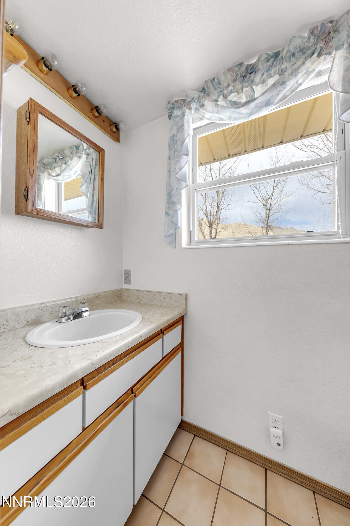 255 Shetland Circle Reno, NV 89508 - Photo 59 of 68 a bathroom with a sink and a mirror