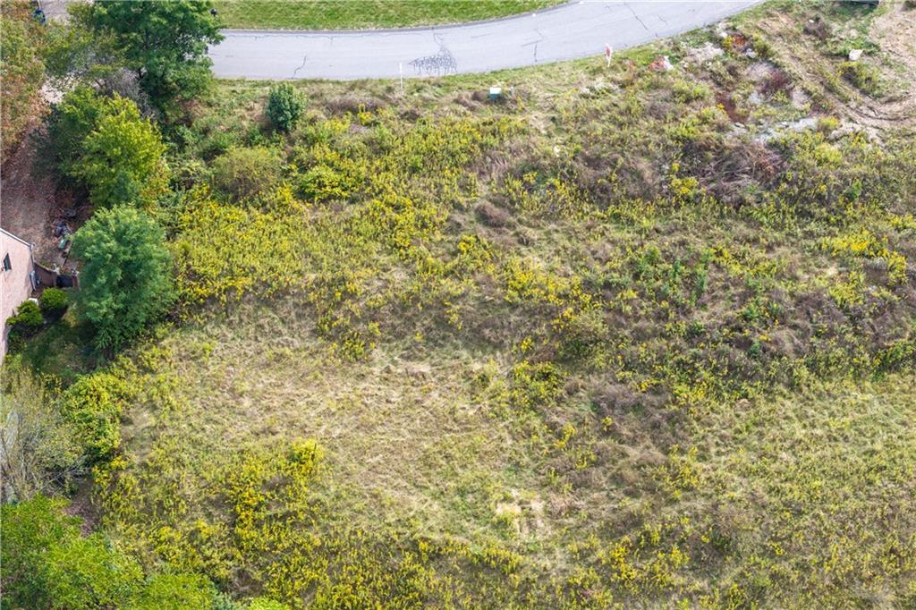 77 Ridgewood Drive McDonald, PA 15057 - Photo 13 of 20 a view of a yard