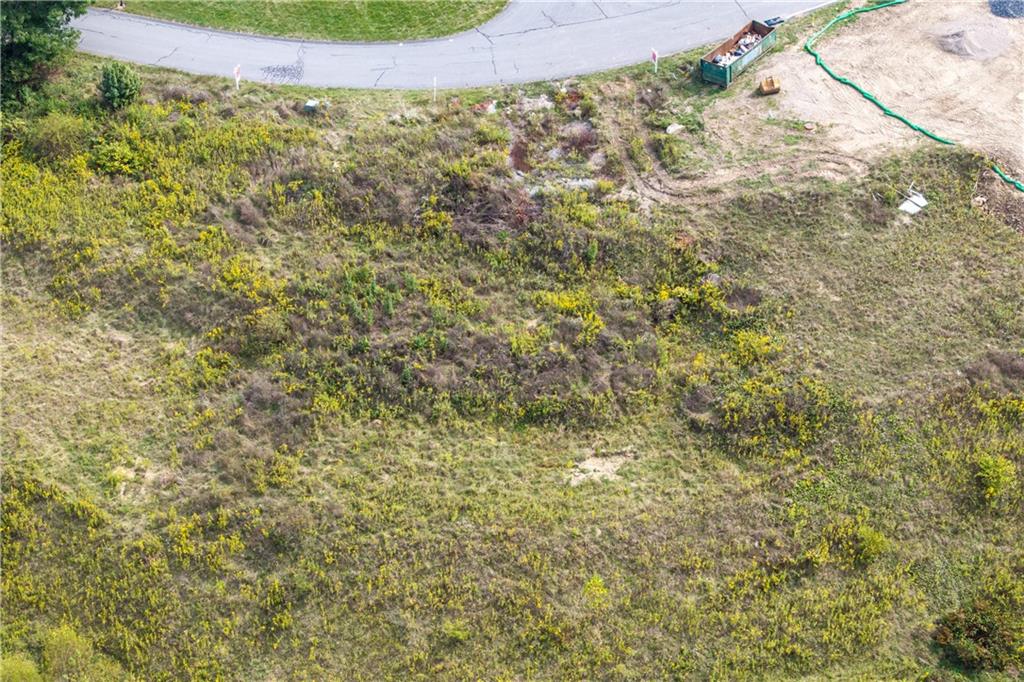 77 Ridgewood Drive McDonald, PA 15057 - Photo 14 of 20 a close up of a plant in a bathroom