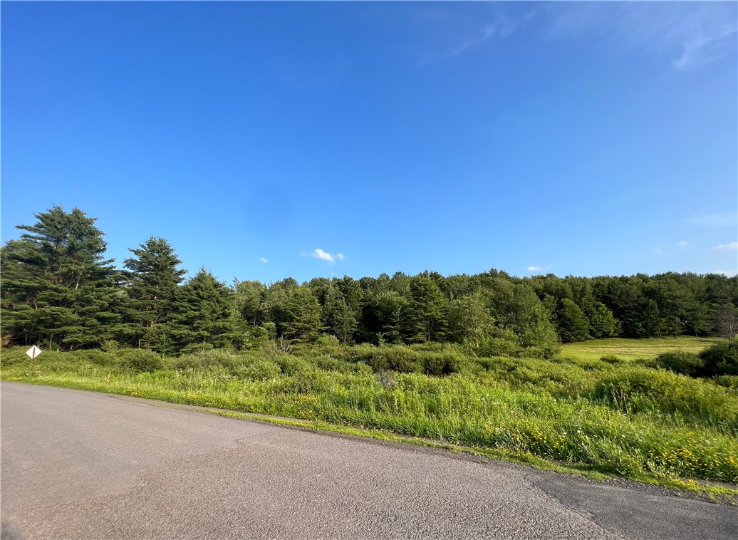 0 Gardner Town Road Mount Vision, NY 13810 - Photo 1 of 1
