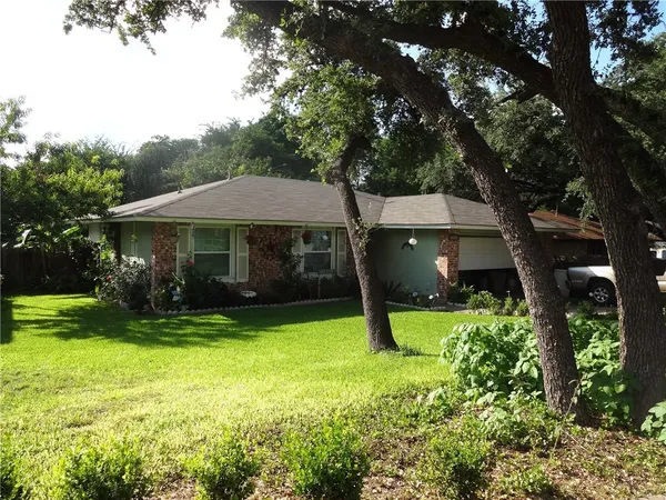 a view of a house with a yard potted plants and a large tree