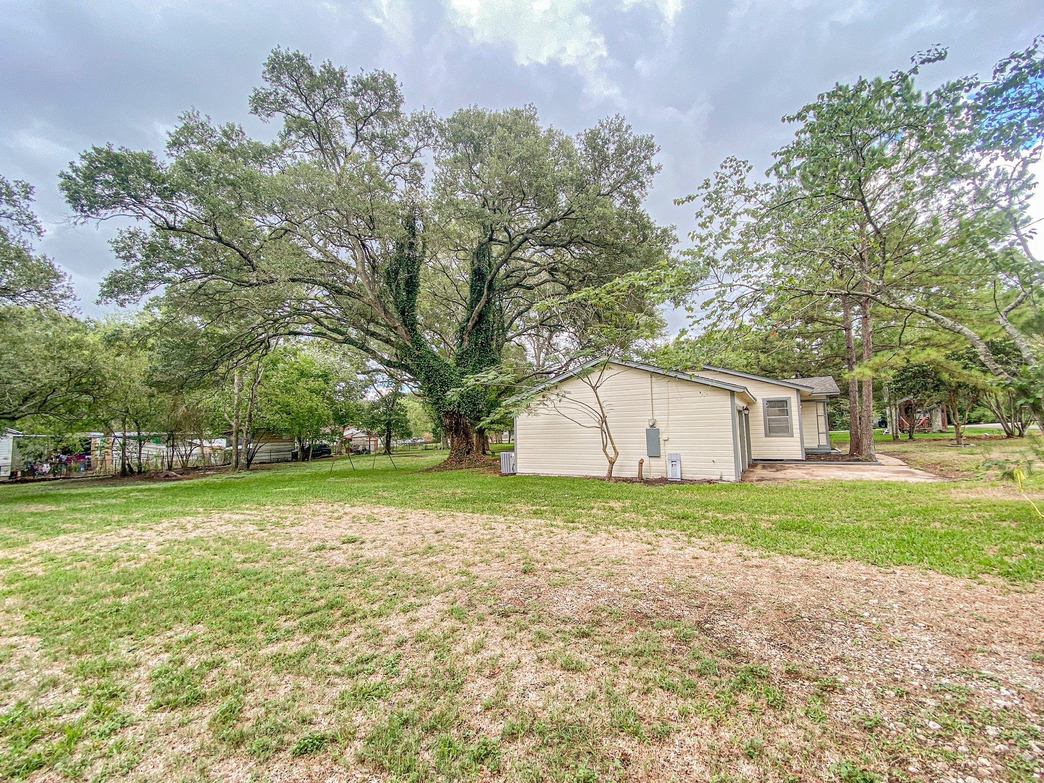 3815 Commerce Street Damon, TX 77430 - Photo 3 of 16 a view of a trees in a yard with large trees