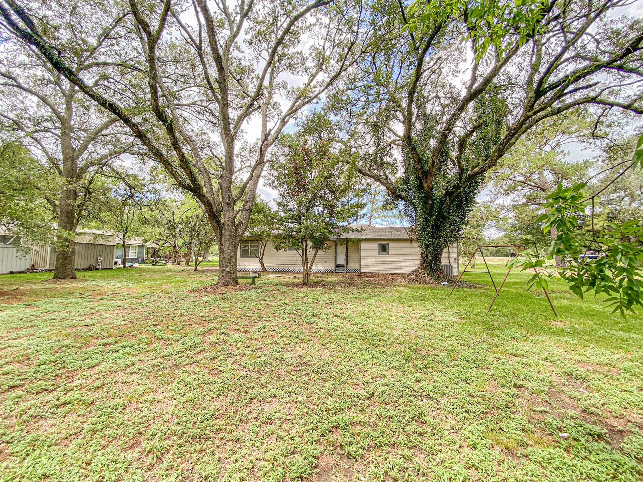 3815 Commerce Street Damon, TX 77430 - Photo 7 of 16 a view of a trees in front of a big yard with large trees