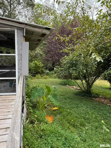 $60,000 | 315 West Furlong Street, Carrier Mills, IL 62917