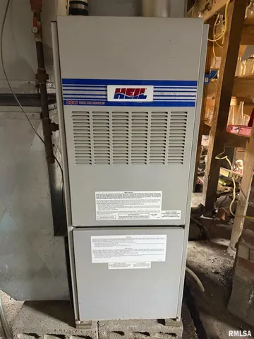 $60,000 | 315 West Furlong Street, Carrier Mills, IL 62917