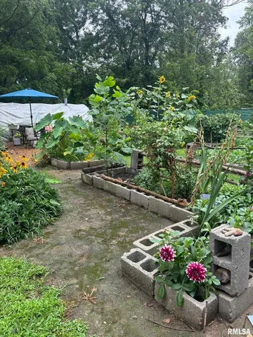 $60,000 | 315 West Furlong Street, Carrier Mills, IL 62917