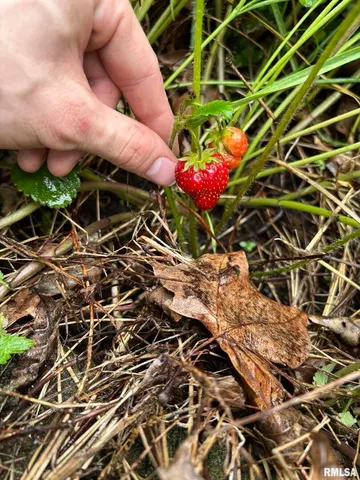 $60,000 | 315 West Furlong Street, Carrier Mills, IL 62917