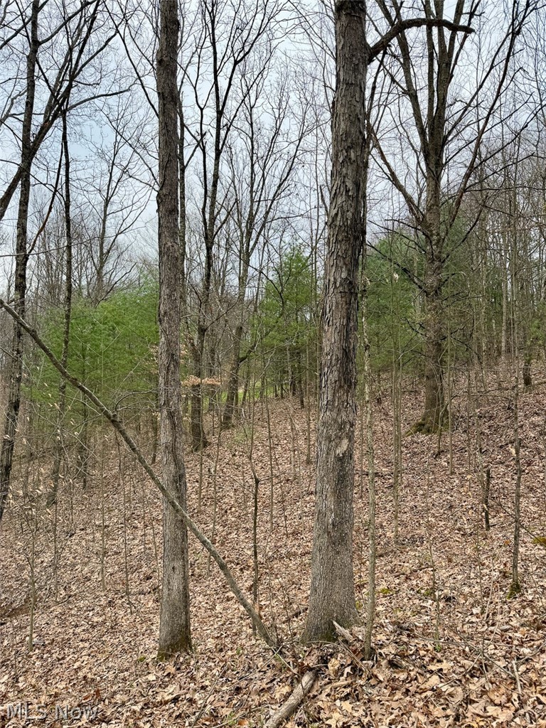 Hanson Road Beverly, OH 45715 - Photo 36 of 45