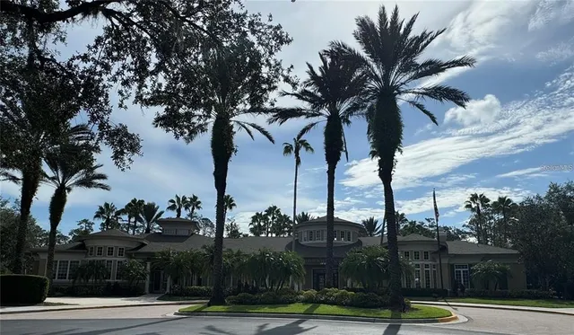 a view of a yard with palm trees