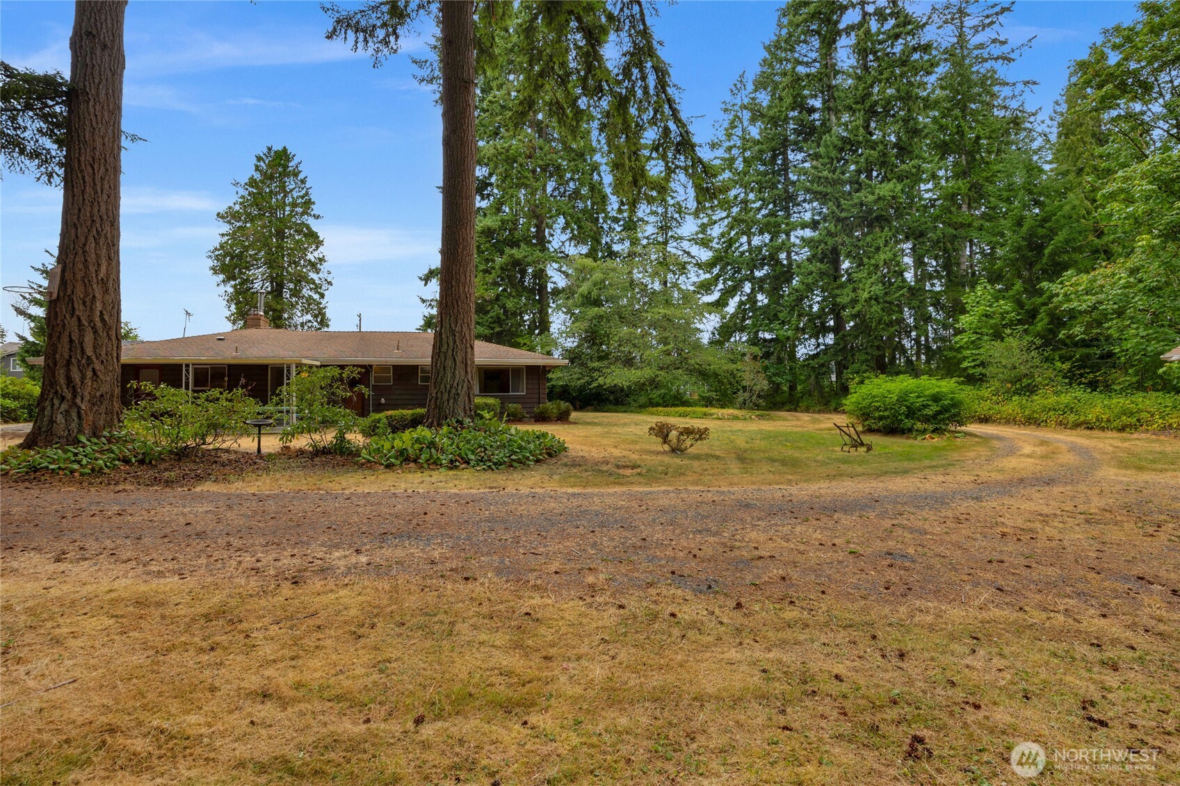 22221 45th Avenue Southeast Bothell, WA 98021 - Photo 23 of 32 a view of backyard with green space