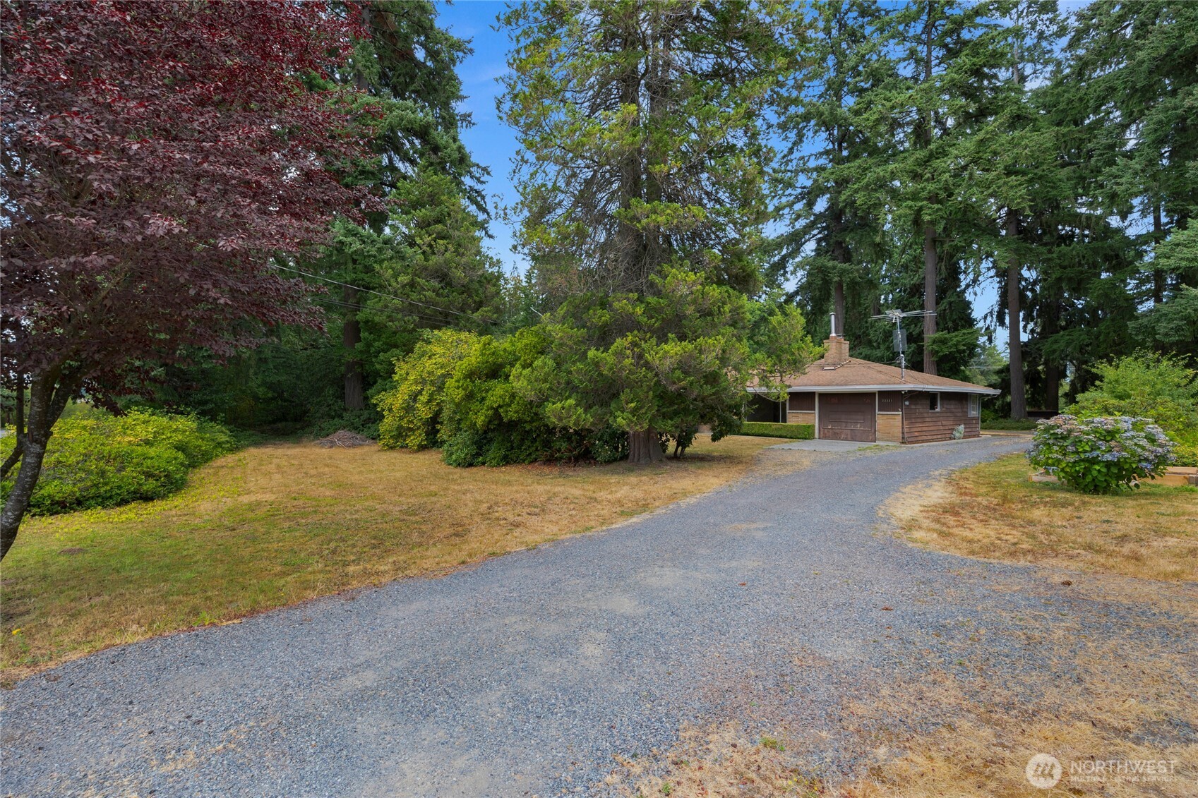 22221 45th Avenue Southeast Bothell, WA 98021 - Photo 27 of 32 a view of a house with backyard and trees
