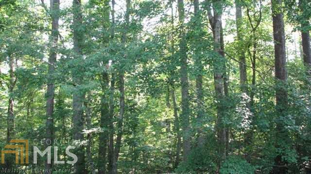 0 Orchard Ridge Trail Jasper, GA 30143 - Photo 1 of 1 a view of a lush green forest