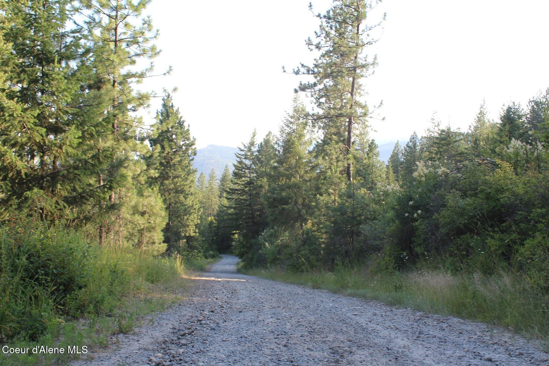 788 Gold Cup Mountain Road Laclede, ID 83841 - Photo 59 of 64 Gold Cup Road