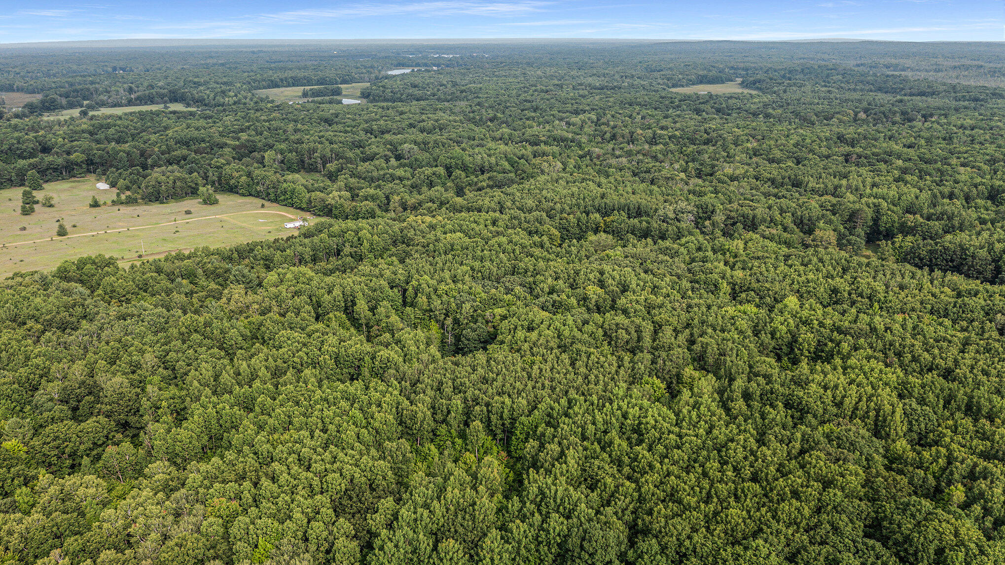 4436 Adams Road Lake, MI 48632 - Photo 18 of 26 004_dji_0802