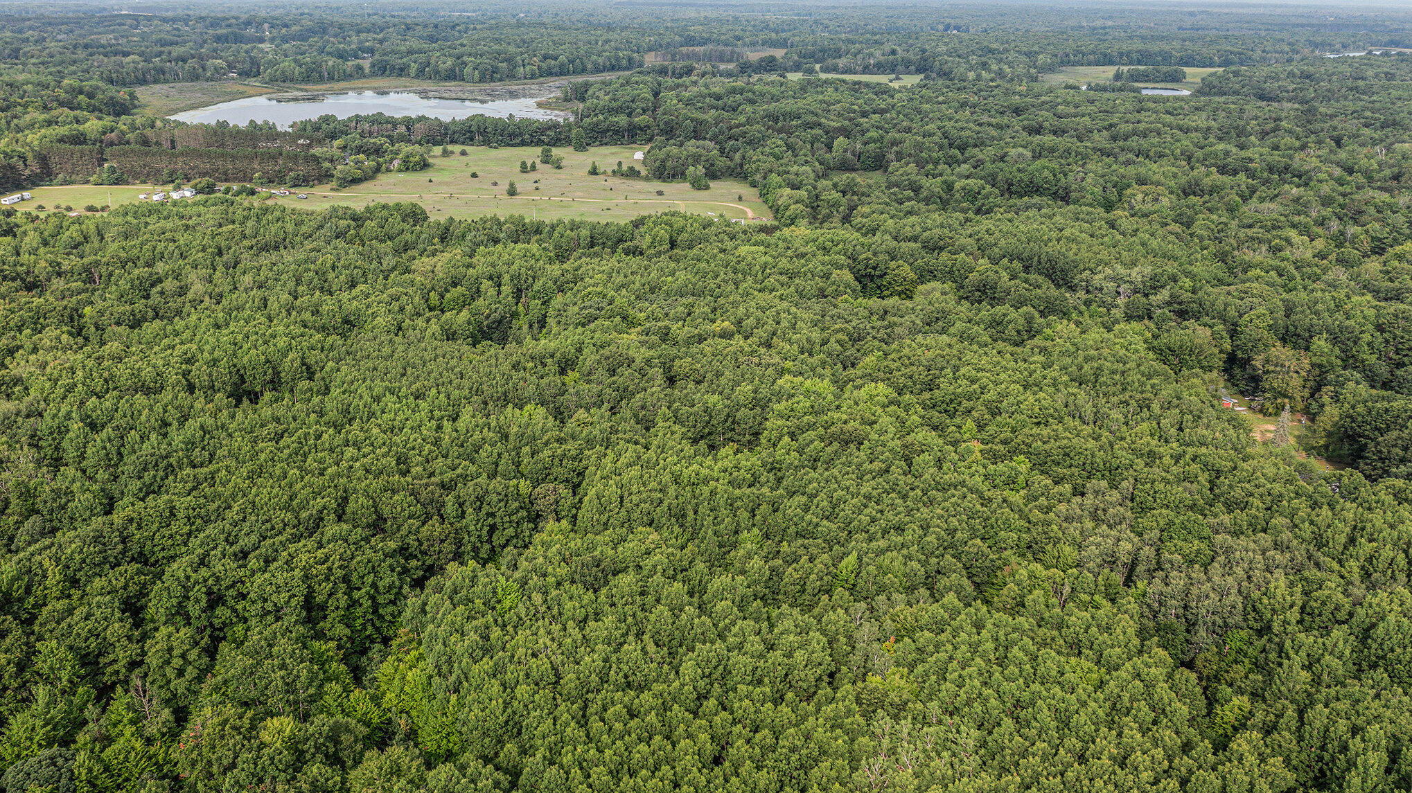 4436 Adams Road Lake, MI 48632 - Photo 20 of 26 006_dji_0807