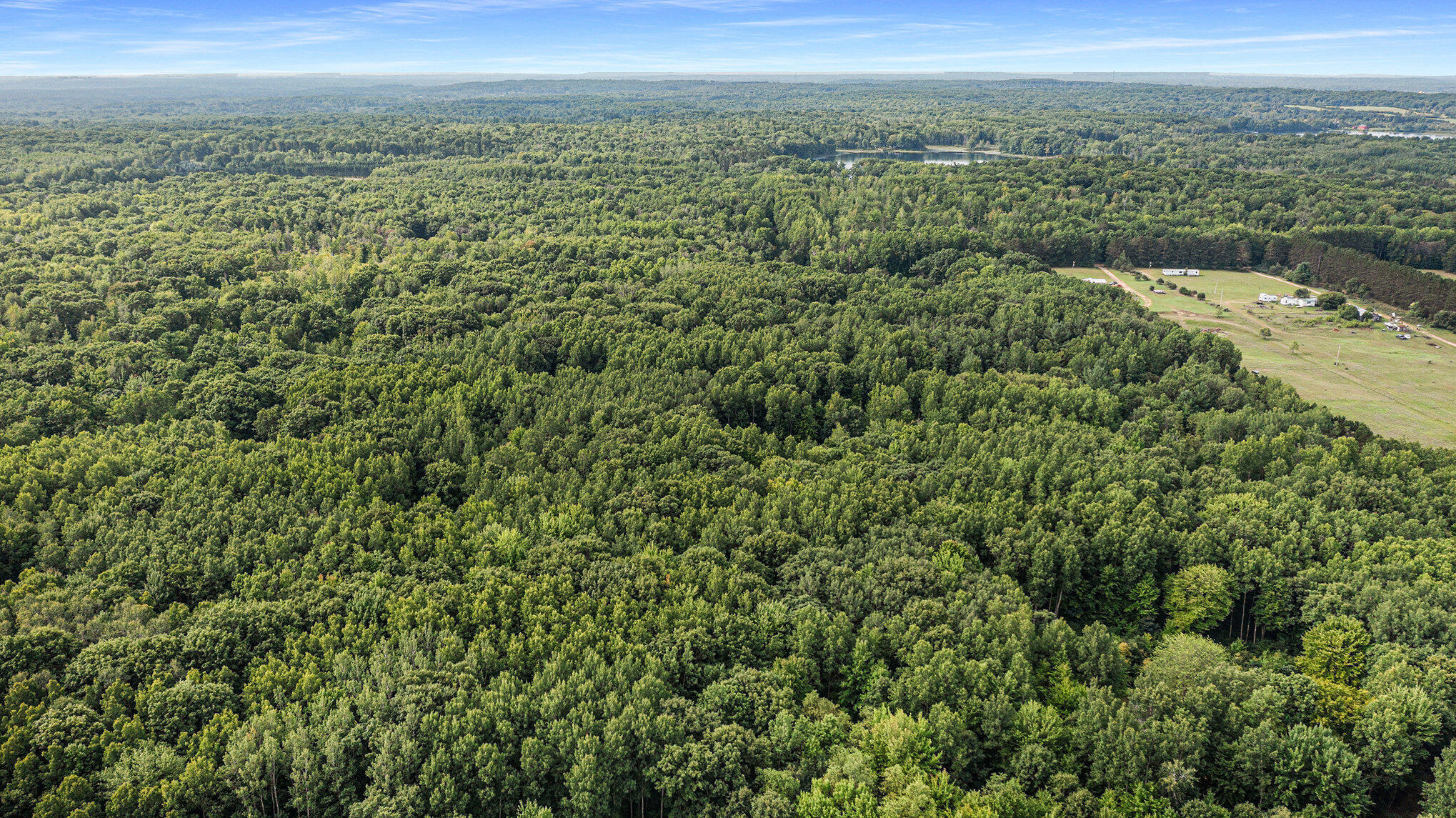 4436 Adams Road Lake, MI 48632 - Photo 23 of 26 009_dji_0818