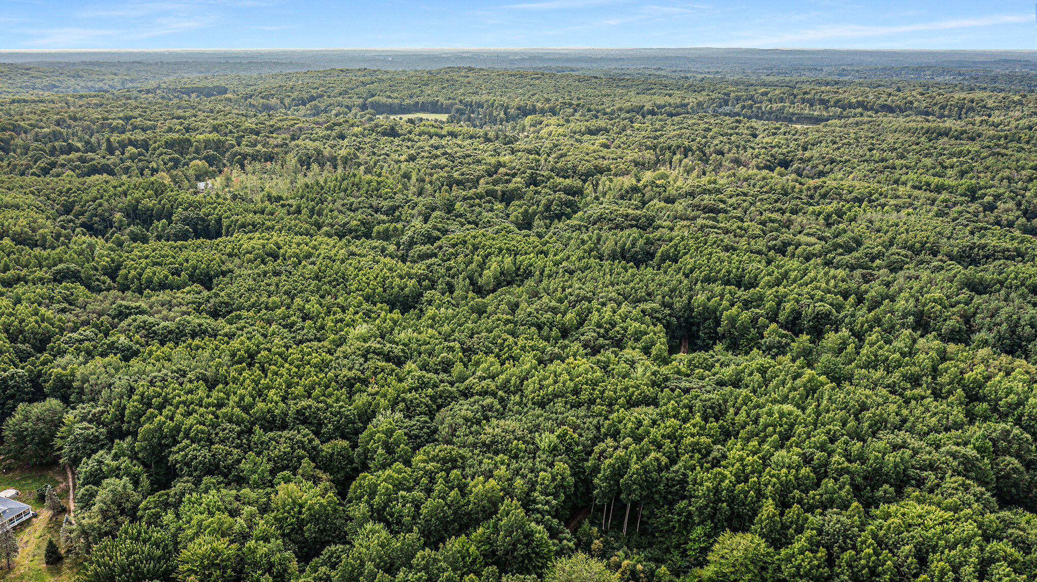 4436 Adams Road Lake, MI 48632 - Photo 24 of 26 010_dji_0822