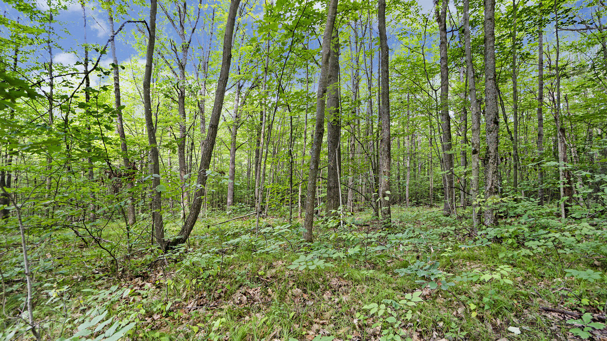 4436 Adams Road Lake, MI 48632 - Photo 8 of 26 020_nextdoorphotos_3