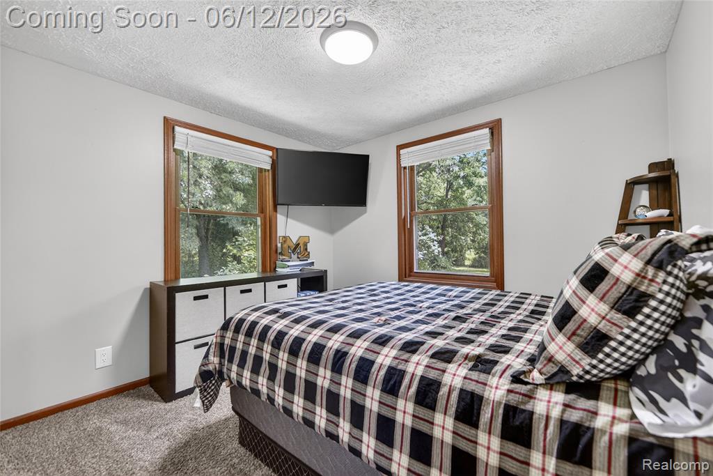13635 Unadilla Road Gregory, MI 48137 - Photo 21 of 68