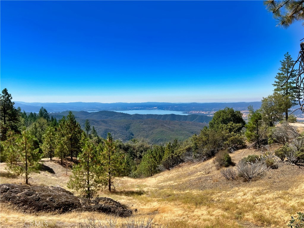 11233 Pitney Ridge Road Upper Lake, CA 95485 - Photo 1 of 1 Gallery Image 1
