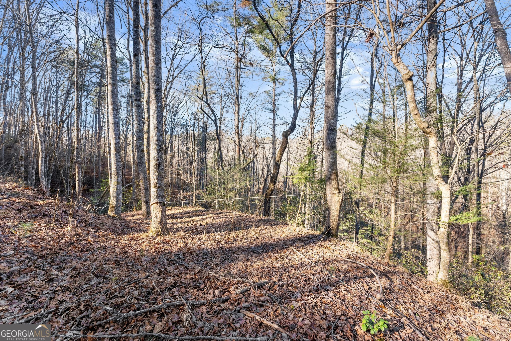 0 River View Lots 12 & 13 Trail West Dahlonega, GA 30533 - Photo 12 of 44 a backyard of a house with lots of green space