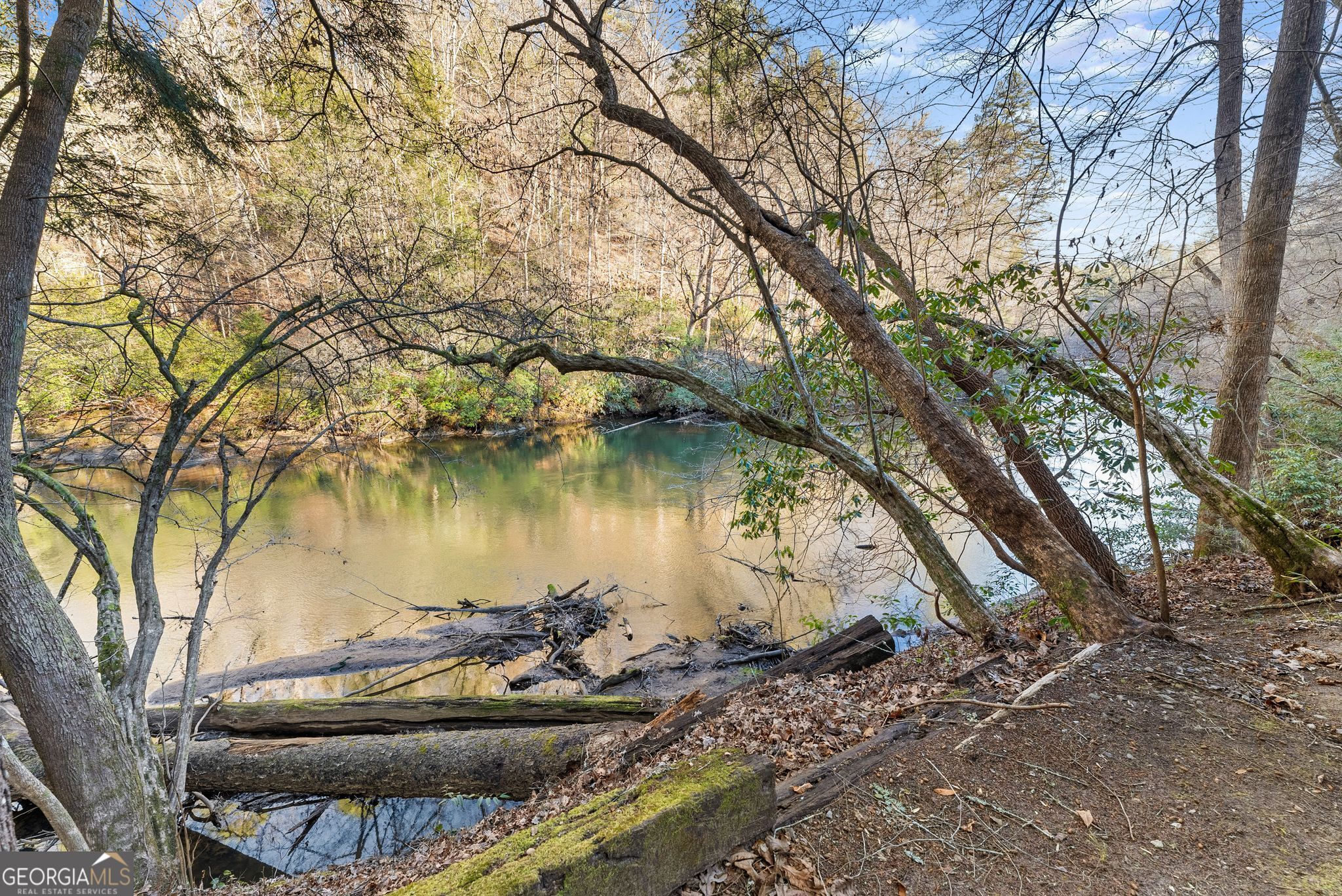 0 River View Lots 12 & 13 Trail West Dahlonega, GA 30533 - Photo 25 of 44 a view of a lake with a tree