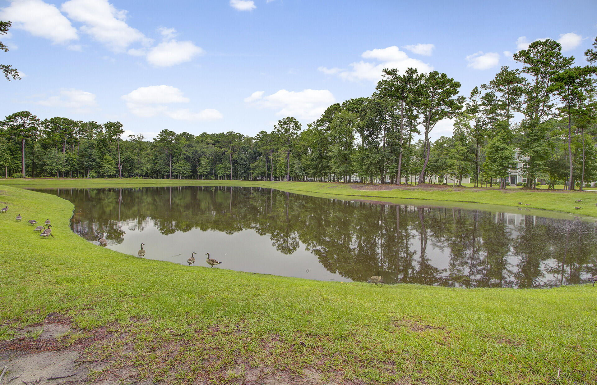 1244 Segar Street Johns Island, SC 29455 - Photo 52 of 54 65_5_mls