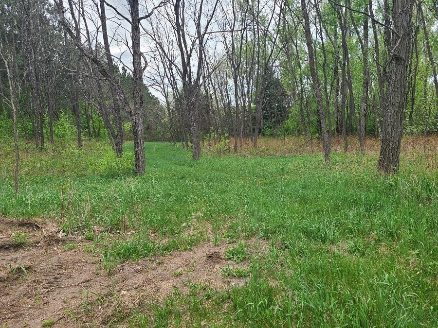 0 North 19th Road Mesick, MI 49668 - Photo 9 of 9 1900738-8.JPG