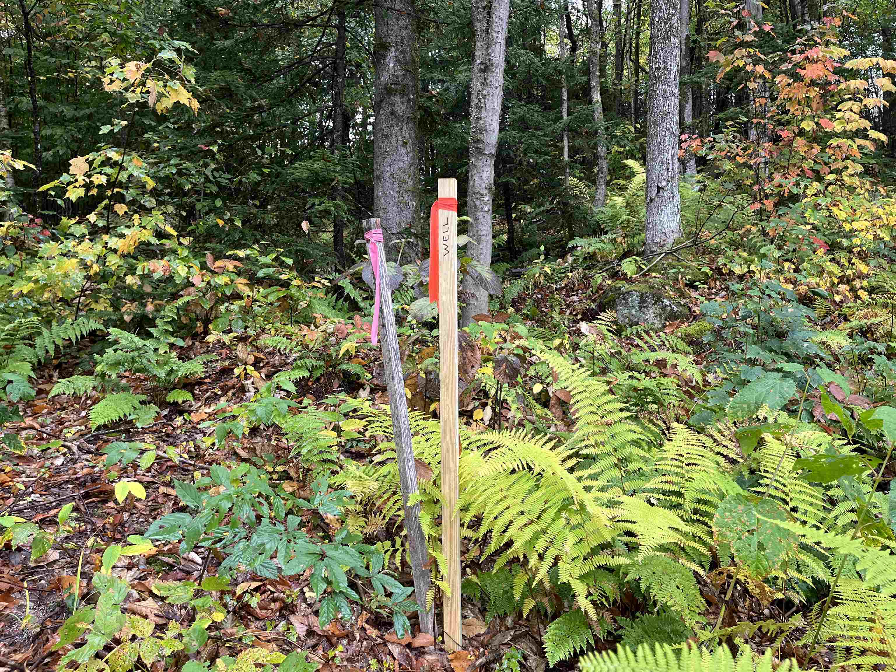 Tbd Warren Mountain Road Roxbury, VT 05669 - Photo 19 of 25