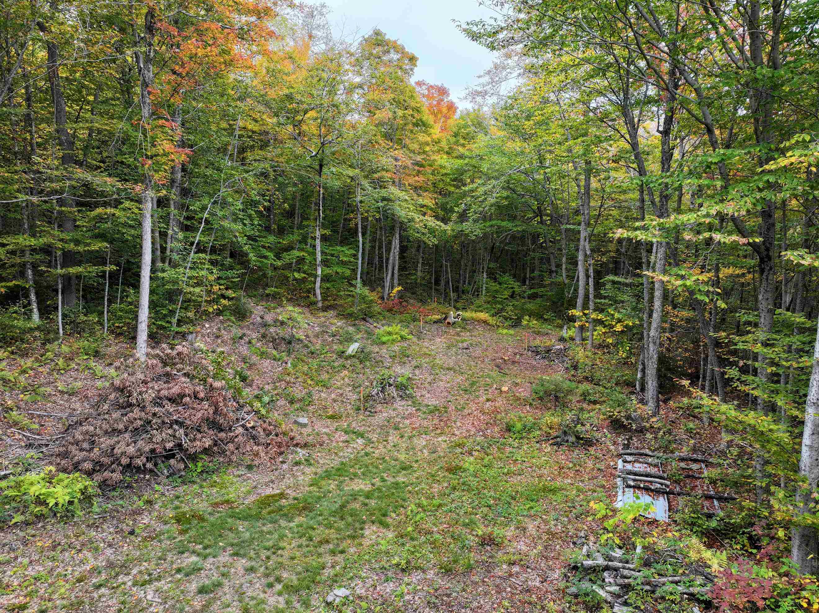 Tbd Warren Mountain Road Roxbury, VT 05669 - Photo 8 of 25