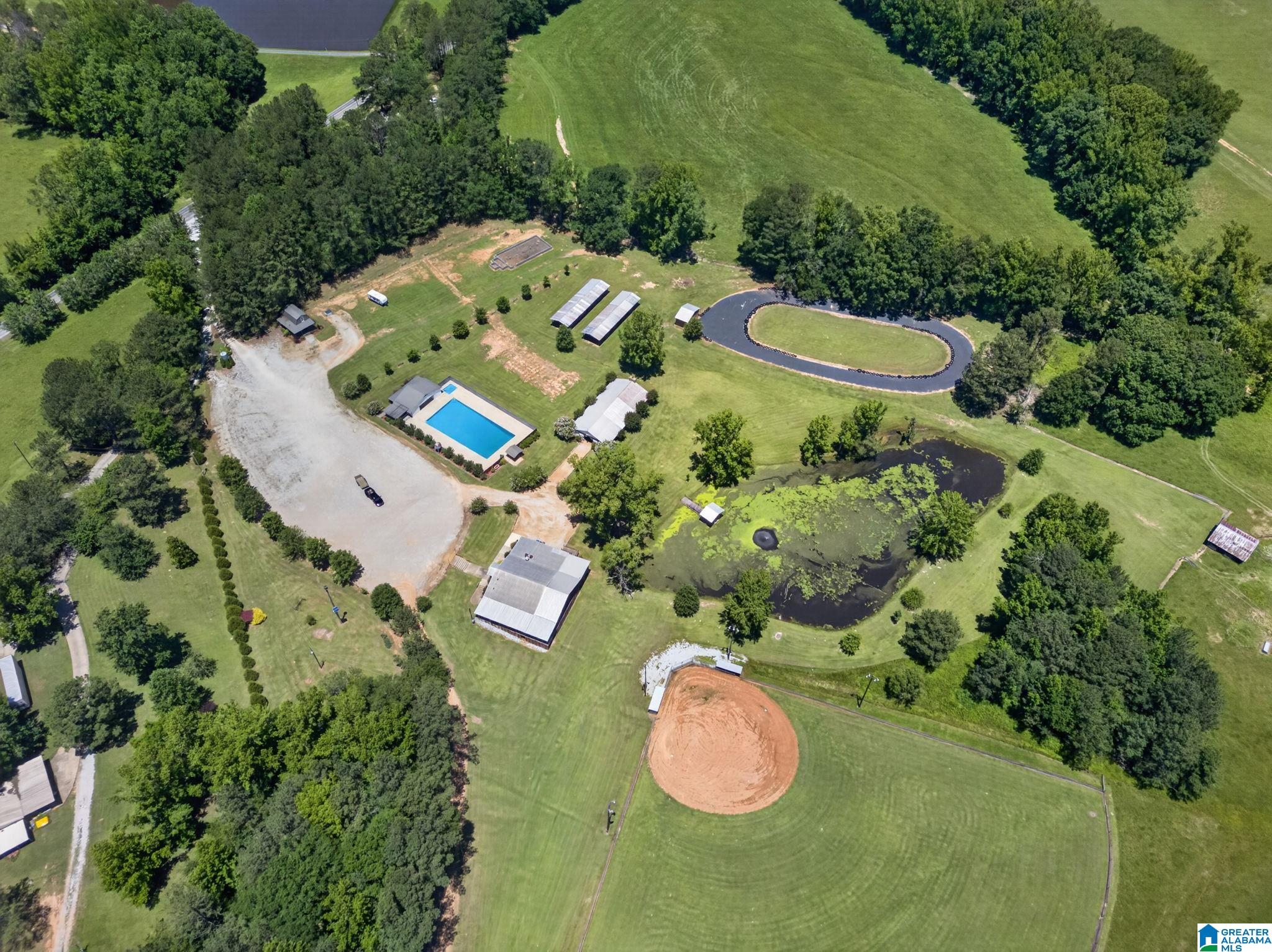 3463 County Road 3 Delta, AL 36258 - Photo 93 of 100