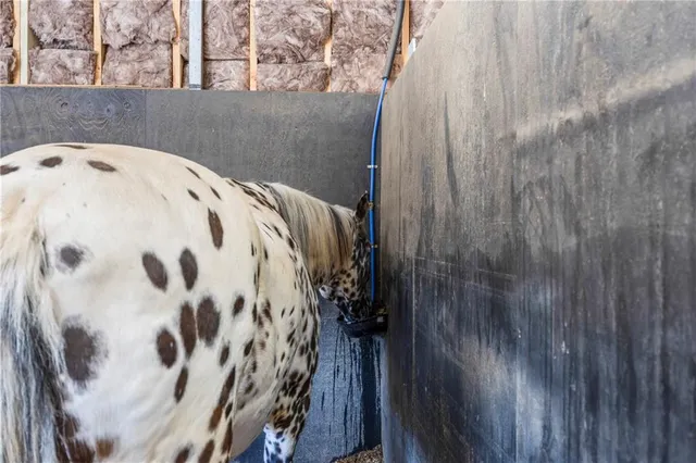 $799,000 | 356 West Oak Grove Road Northwest, Adairsville, GA 30103