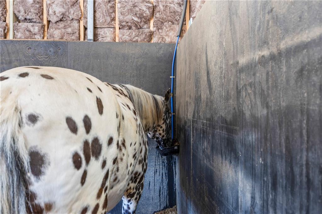 356 West Oak Grove Road Northwest Adairsville, GA 30103 - Photo 90 of 128